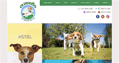 Desktop Screenshot of clubdog.com.br